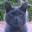 onesemester.wordpress.com
