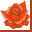 iihana.com