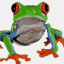 iwebbit.net