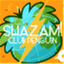 shazamcp.wordpress.com