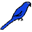 devparrot.org