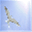lebenspuls-forum.com