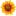 dynamique.nl
