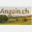 angoin.ch