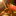 tadashimaeda.net