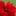 poinsettiaday.com