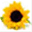 cospeknirpse.de