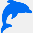 dolphinandsnorkeltours.com