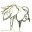 brocotelito.wordpress.com