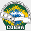 cobra.org.br