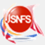 jsnfs.or.jp