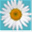 sochiru.com