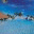 mohanasangeetham.wordpress.com