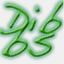 dibbson.it