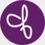 thedancefoundation.org