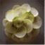 arcisfoodblog.com