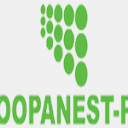 coopanest-pa.com.br
