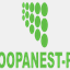 coopanest-pa.com.br