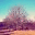 flowintolife.wordpress.com