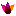 tigerlily.is