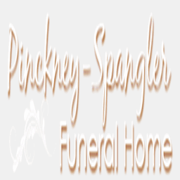 pinckney-spanglerfuneralhomedc.com