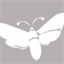 atinymoth.com