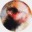 bramjohnson.com