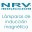 nrvinduccion.com
