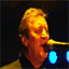 duanetornquist.com