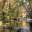 larsenimages.wordpress.com