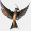 rathodmartin.us