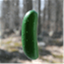 thepicklepatch.com