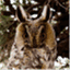 thedigitalowl.wordpress.com