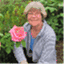 shirleychalmers.com