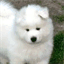 xiiuhun.co.vu