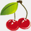 rdvcougar.net