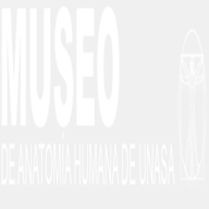 museo.unasa.edu.sv