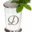 mintjulepmonograms.com