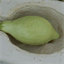 harvestingidentity.com