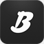 bnsystems.net