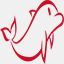 redseadive.net