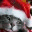 jorgechu.wordpress.com
