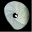 sharpfocus.org