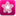 amyshortman.com