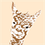 jabe-alpaca.ch