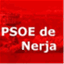 nerjapsoe.com