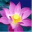 rathmuni.com