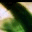 calabriastreaming.wordpress.com