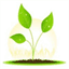 seedscape.net.au