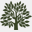 tdtrees.co.uk